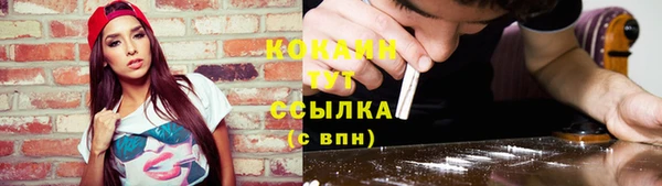ГАЛЛЮЦИНОГЕННЫЕ ГРИБЫ Козельск