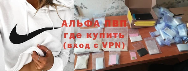 МДПВ Бородино