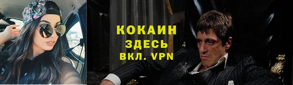 СК Елизово