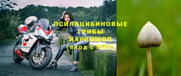 соль курить ск Богданович