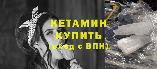 дживик Ельня