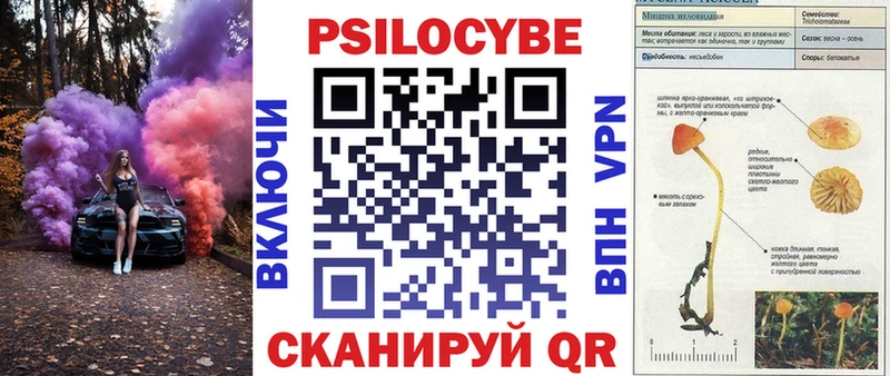 Галлюциногенные грибы прущие грибы  omg онион  Кохма 